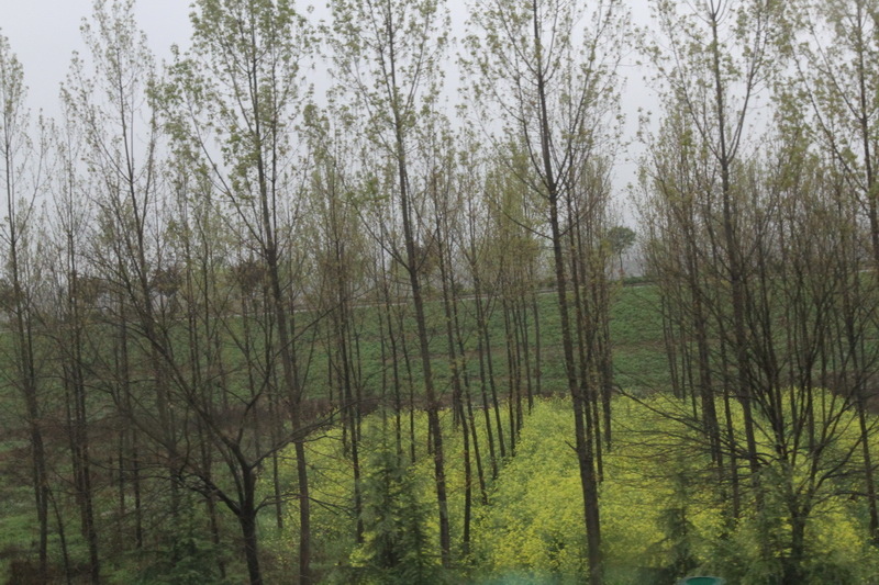 IMG_0690_調整大小.JPG IMG_0690_調整大小.JPG