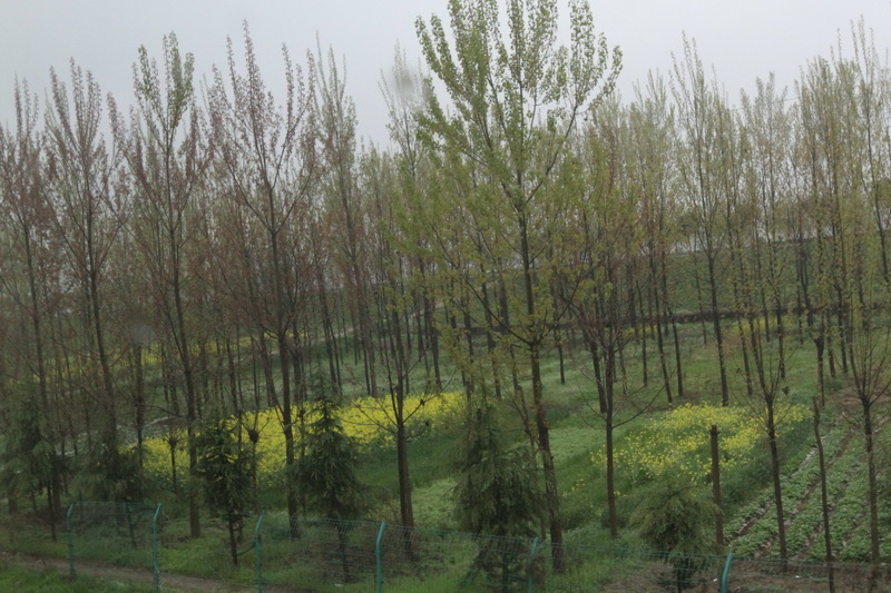 IMG_0692_調整大小.JPG IMG_0692_調整大小.JPG