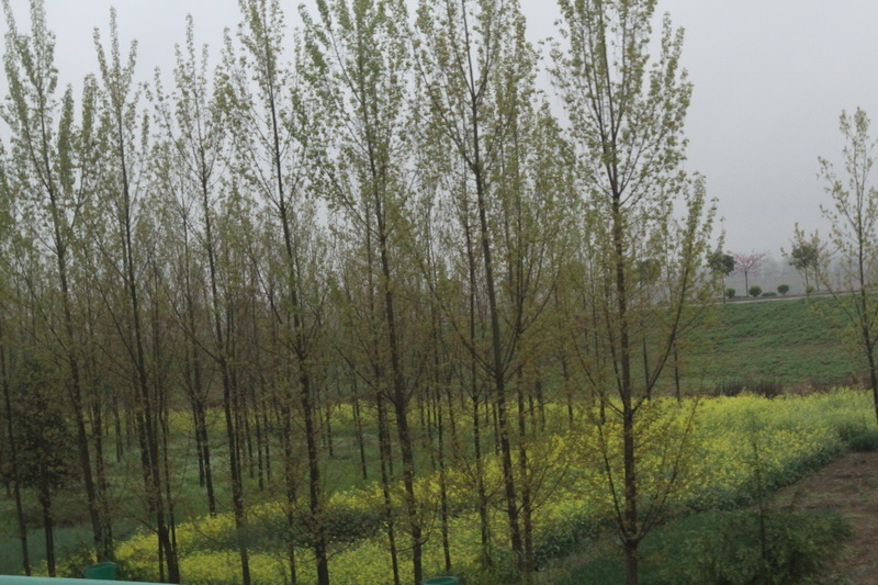 IMG_0691_調整大小.JPG IMG_0691_調整大小.JPG