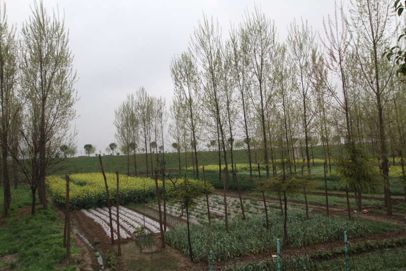 IMG_0695_調整大小.JPG IMG_0695_調整大小.JPG