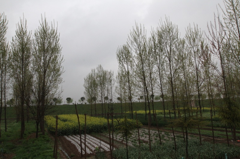 IMG_0696_調整大小.JPG IMG_0696_調整大小.JPG
