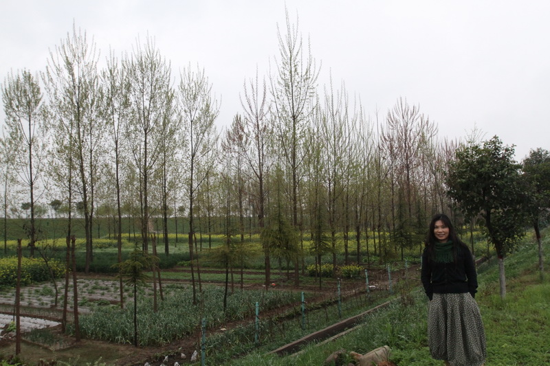 IMG_0697_調整大小.JPG IMG_0697_調整大小.JPG