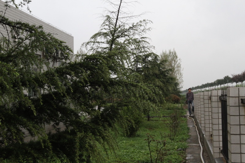 IMG_0706_調整大小.JPG IMG_0706_調整大小.JPG