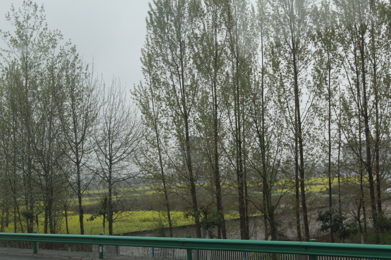 IMG_0712_調整大小.JPG IMG_0712_調整大小.JPG