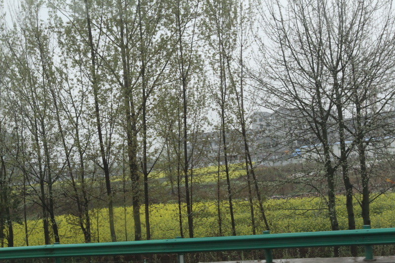 IMG_0713_調整大小.JPG IMG_0713_調整大小.JPG
