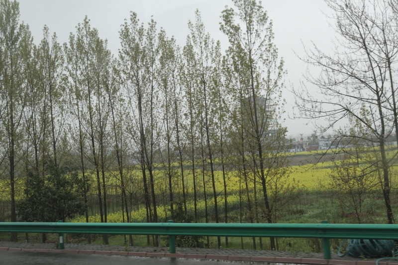 IMG_0715_調整大小.JPG IMG_0715_調整大小.JPG
