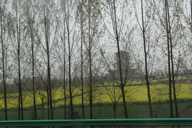 IMG_0716_調整大小.JPG IMG_0716_調整大小.JPG