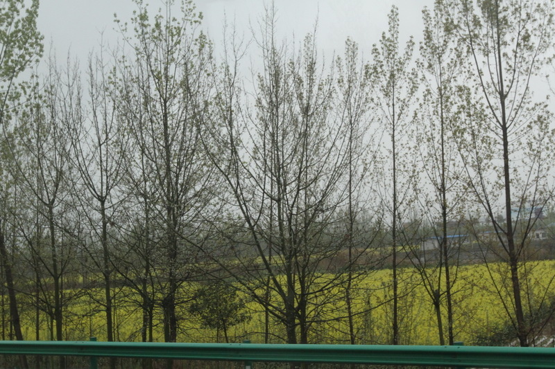 IMG_0717_調整大小.JPG IMG_0717_調整大小.JPG