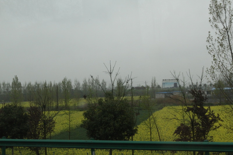 IMG_0718_調整大小.JPG IMG_0718_調整大小.JPG