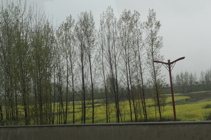 IMG_0720_調整大小.JPG IMG_0720_調整大小.JPG