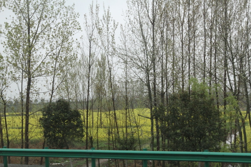 IMG_0721_調整大小.JPG IMG_0721_調整大小.JPG