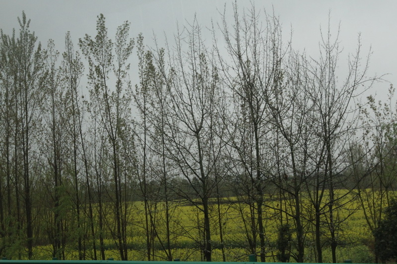 IMG_0722_調整大小.JPG IMG_0722_調整大小.JPG