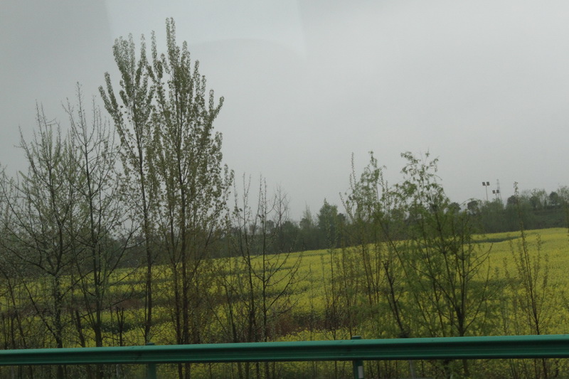 IMG_0723_調整大小.JPG IMG_0723_調整大小.JPG