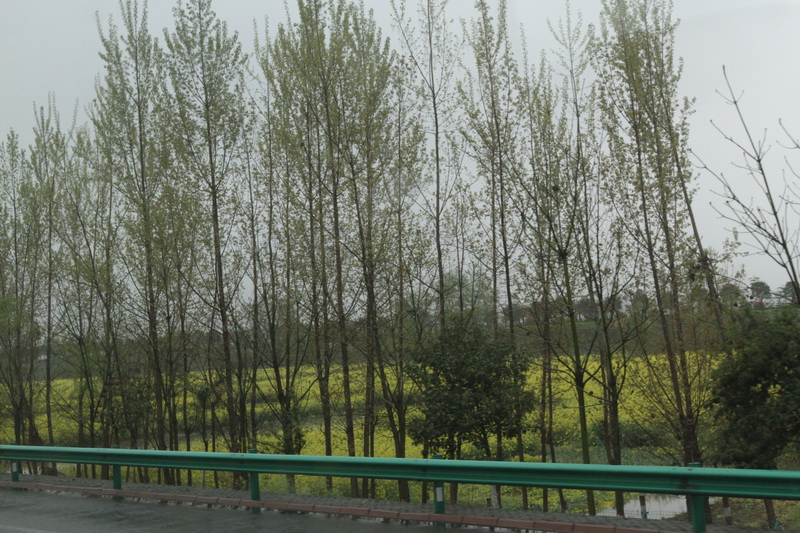 IMG_0724_調整大小.JPG IMG_0724_調整大小.JPG