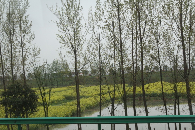 IMG_0725_調整大小.JPG IMG_0725_調整大小.JPG