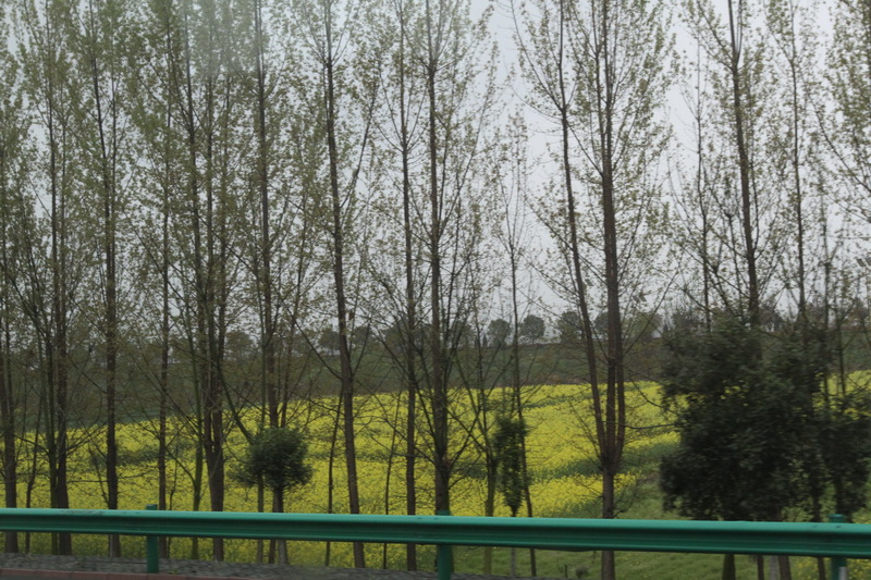 IMG_0726_調整大小.JPG IMG_0726_調整大小.JPG