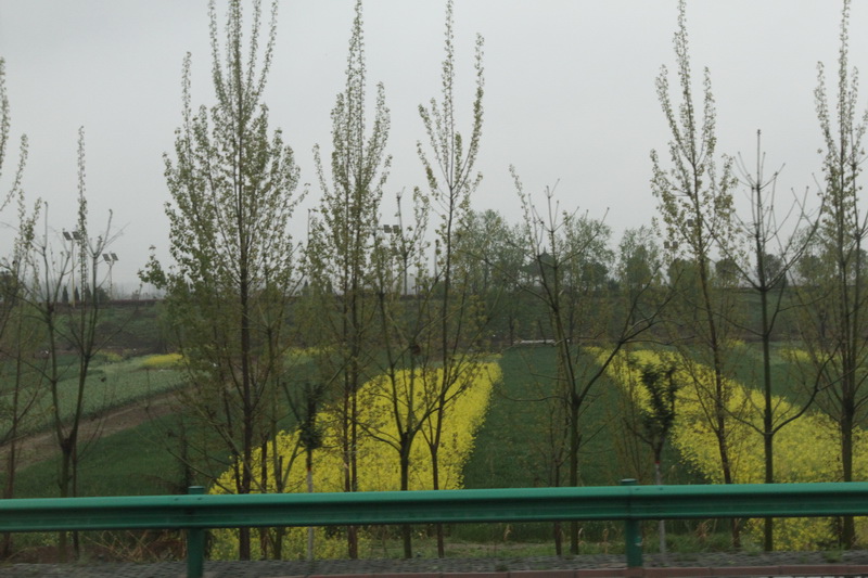 IMG_0727_調整大小.JPG IMG_0727_調整大小.JPG