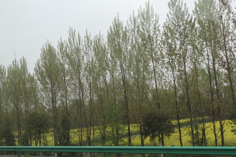 IMG_0728_調整大小.JPG IMG_0728_調整大小.JPG