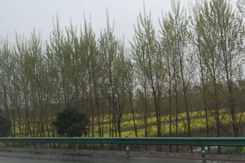 IMG_0730_調整大小.JPG IMG_0730_調整大小.JPG