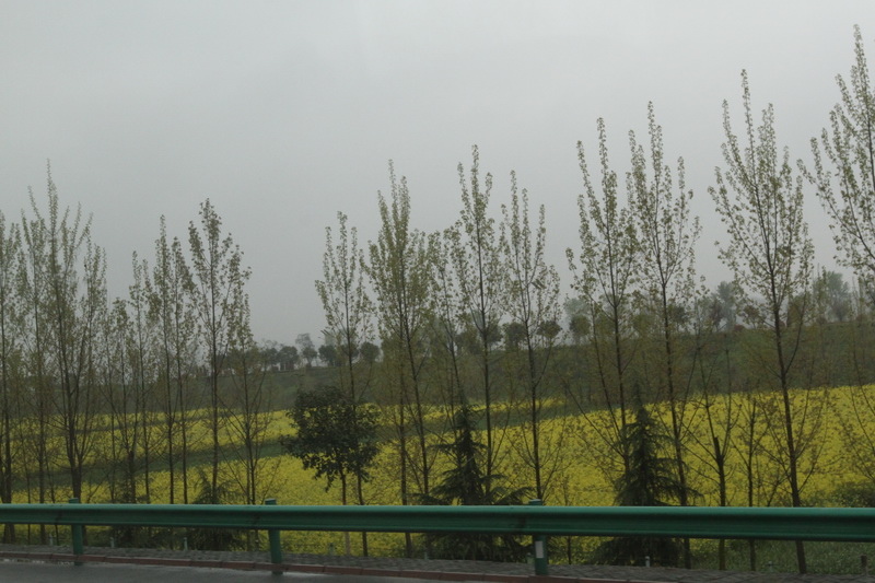 IMG_0731_調整大小.JPG IMG_0731_調整大小.JPG