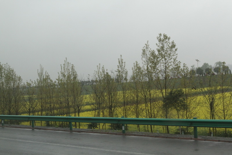 IMG_0732_調整大小.JPG IMG_0732_調整大小.JPG