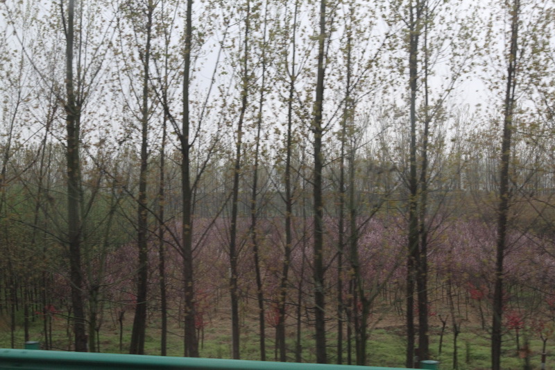 IMG_0734_調整大小.JPG IMG_0734_調整大小.JPG