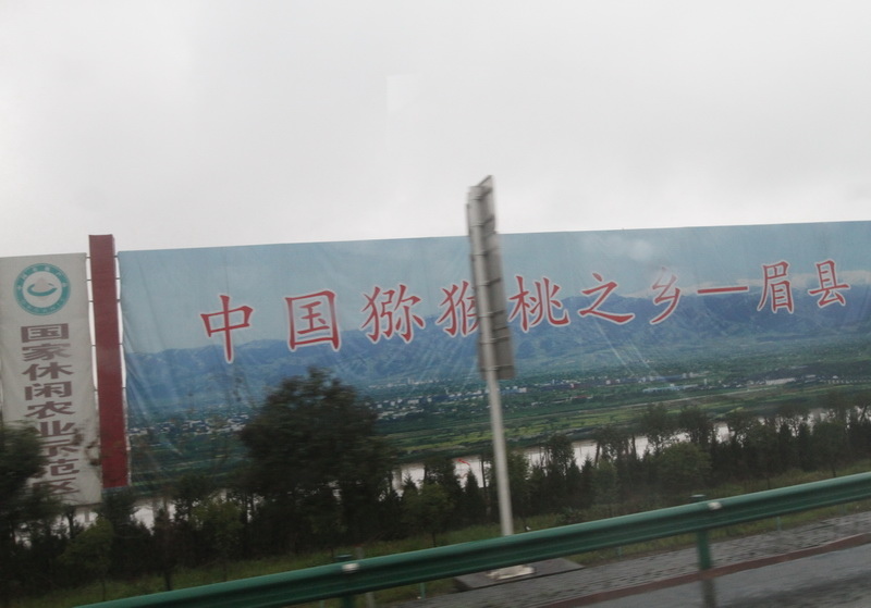 IMG_0736_調整大小.JPG IMG_0736_調整大小.JPG