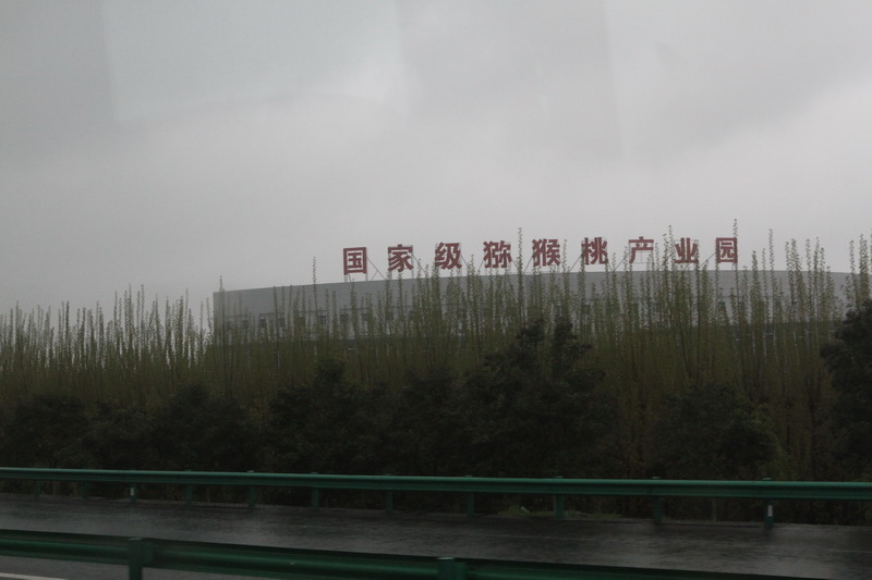 IMG_0735_調整大小.JPG IMG_0735_調整大小.JPG