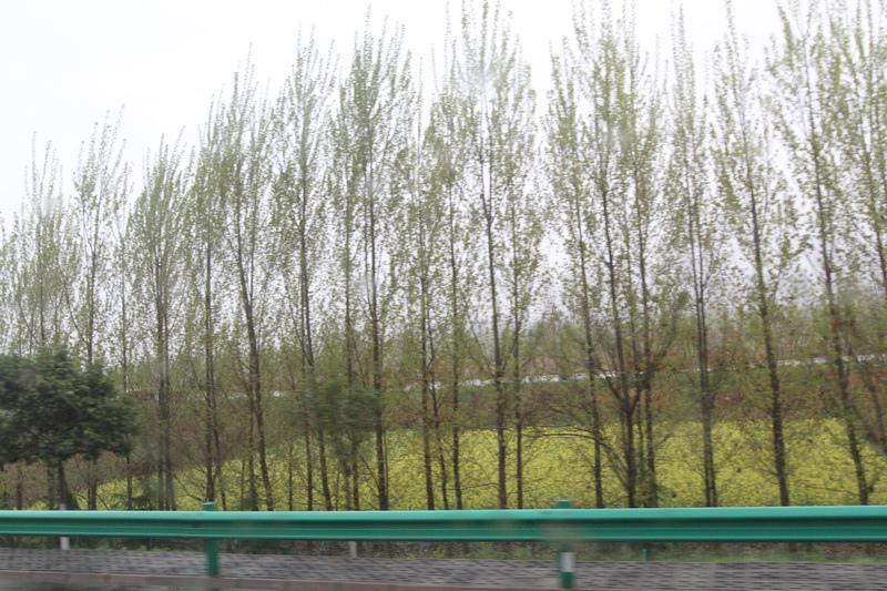 IMG_0742_調整大小.JPG IMG_0742_調整大小.JPG