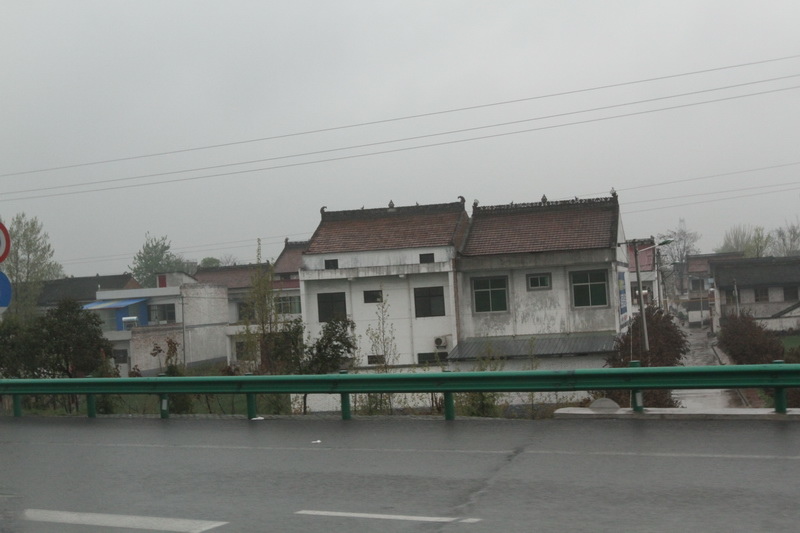 IMG_0744_調整大小.JPG IMG_0744_調整大小.JPG