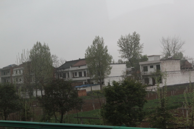 IMG_0749_調整大小.JPG IMG_0749_調整大小.JPG
