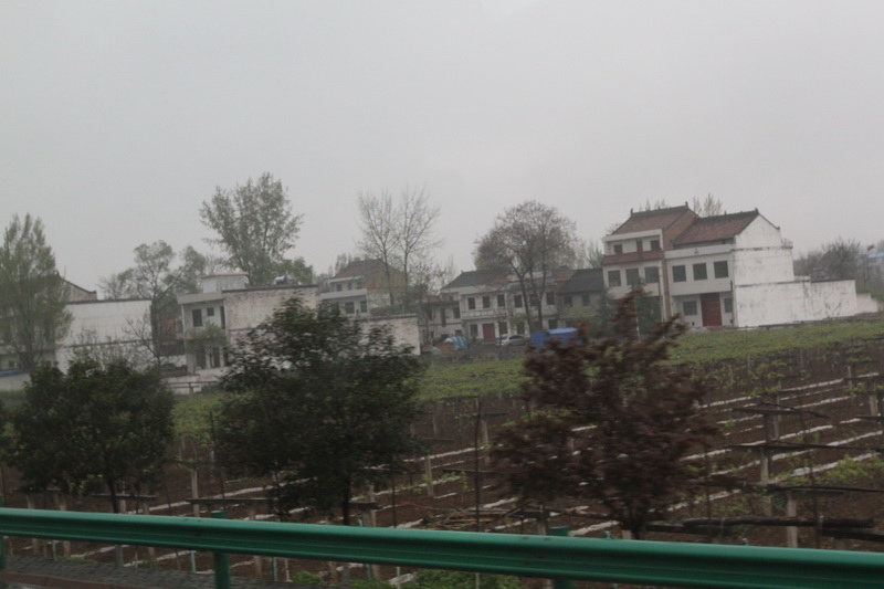 IMG_0748_調整大小.JPG IMG_0748_調整大小.JPG