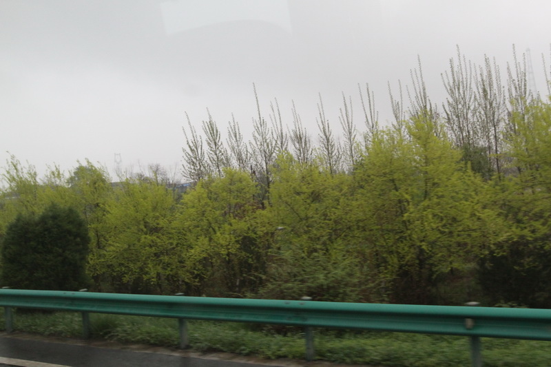 IMG_0756_調整大小.JPG IMG_0756_調整大小.JPG