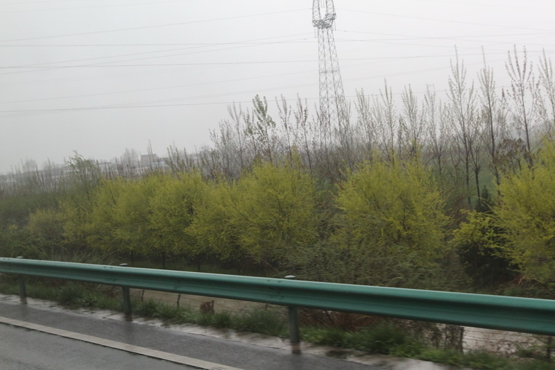 IMG_0757_調整大小.JPG IMG_0757_調整大小.JPG