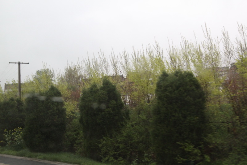IMG_0758_調整大小.JPG IMG_0758_調整大小.JPG