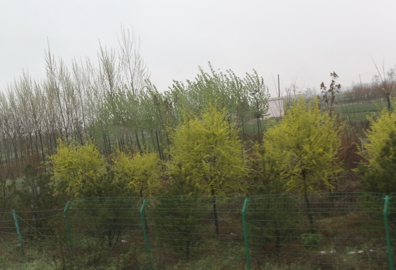 IMG_0761_調整大小.JPG IMG_0761_調整大小.JPG