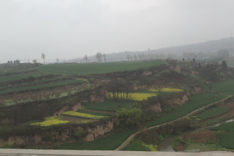 IMG_0765_調整大小.JPG IMG_0765_調整大小.JPG