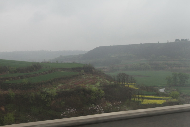 IMG_0766_調整大小.JPG IMG_0766_調整大小.JPG