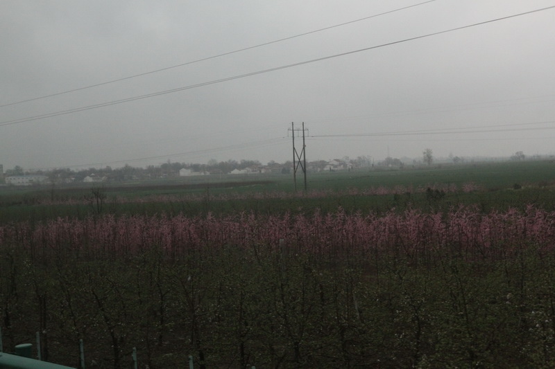 IMG_0771_調整大小.JPG IMG_0771_調整大小.JPG