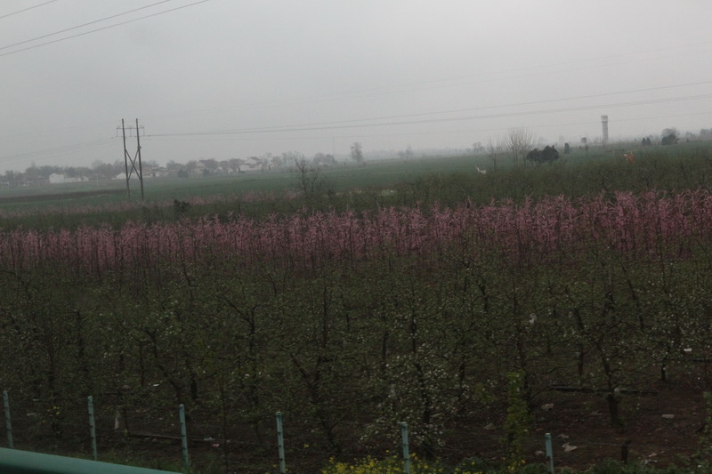 IMG_0770_調整大小.JPG IMG_0770_調整大小.JPG
