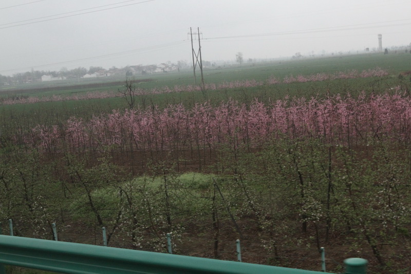 IMG_0772_調整大小.JPG IMG_0772_調整大小.JPG