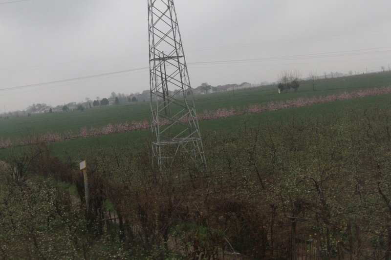 IMG_0774_調整大小.JPG IMG_0774_調整大小.JPG