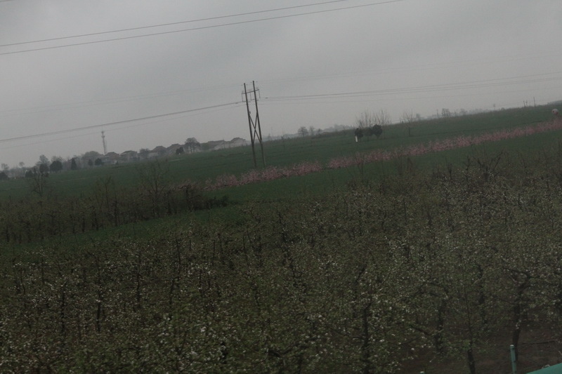 IMG_0775_調整大小.JPG IMG_0775_調整大小.JPG