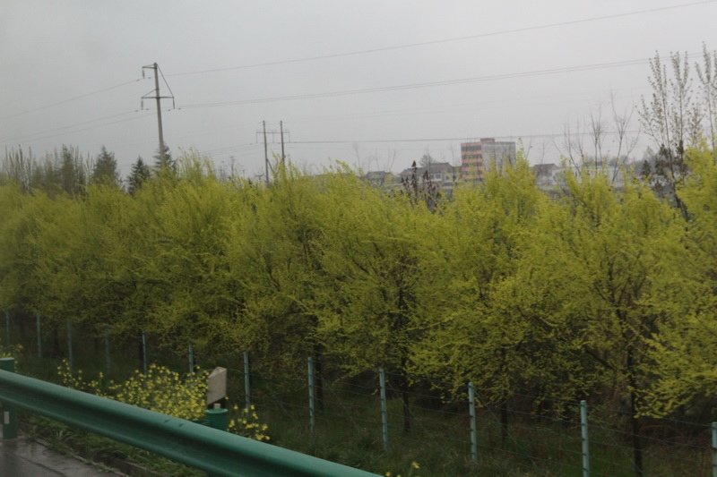 IMG_0776_調整大小.JPG IMG_0776_調整大小.JPG