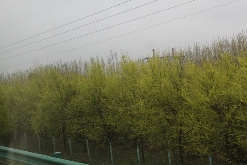IMG_0780_調整大小.JPG IMG_0780_調整大小.JPG