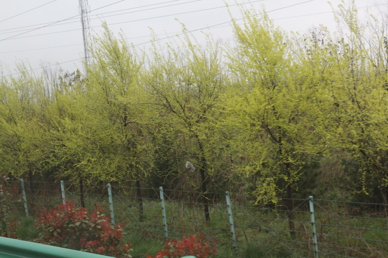 IMG_0779_調整大小.JPG IMG_0779_調整大小.JPG