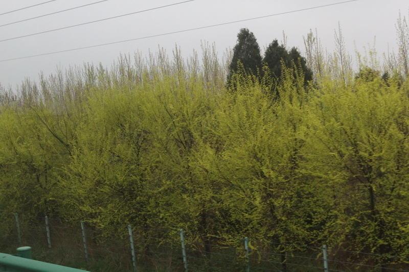 IMG_0781_調整大小.JPG IMG_0781_調整大小.JPG