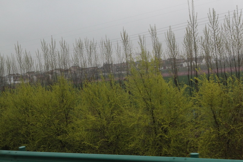 IMG_0783_調整大小.JPG IMG_0783_調整大小.JPG