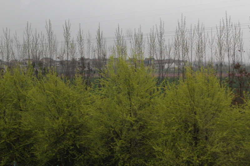 IMG_0784_調整大小.JPG IMG_0784_調整大小.JPG