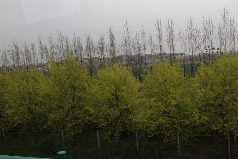 IMG_0785_調整大小.JPG IMG_0785_調整大小.JPG